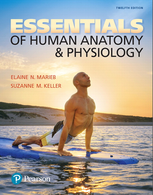 anatomy and physiology book marieb